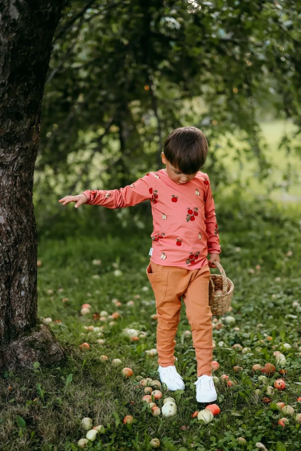 APPLE TREE -PAITA | RASPBERRY