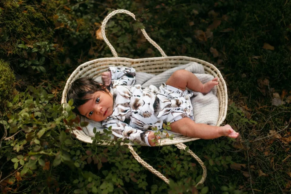 BUNNY GREY -BODY